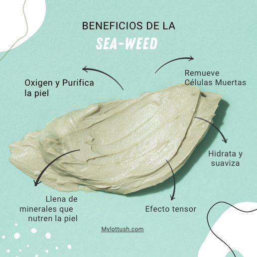 Mascarilla Sea Weed (Algas Marinas)